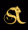 S-Treasury logo