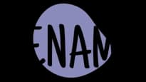 Zenamu logo