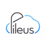 Pileus logo