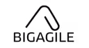 BigAgile logo