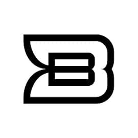 Blinkbid logo