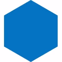 DxScript logo