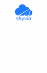 Skyvia Backup logo