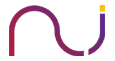 NETWORK INTELLIGENCE PVT LTD