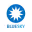 Portfolio Manager logo