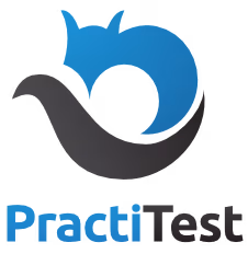 PractiTest logo