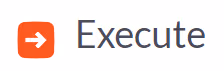 Execute Performance logo