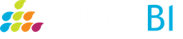 SplashBI logo
